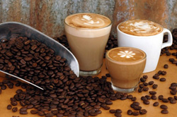 Queensland Blue Blend&trade;